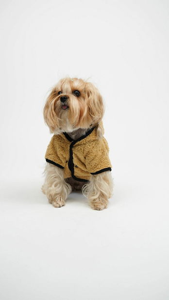 Bunda pro psa Tedi (modrá) 1