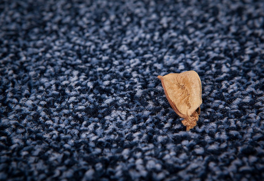 Kusový koberec Sensation 100 Blue