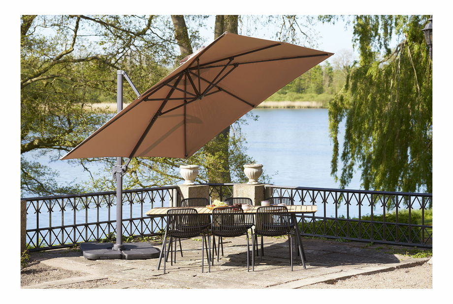 Slunečník Biveria (písková)