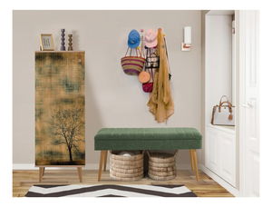 Předsíň Feliz 501 (dub sonoma + zelená)