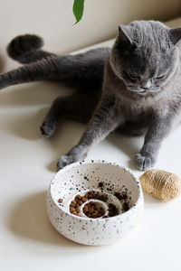 Miska pro domácí zvíře Bestie 3 (vícebarevné)