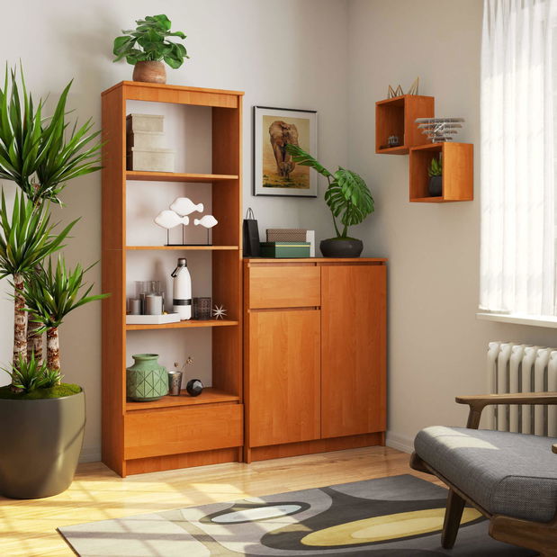 Regál Radha (olše)