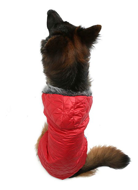 Bunda pro psa Reddie (červená) (3XL)