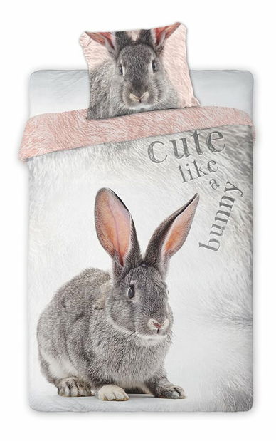 Povlečení pro dospělé 200x160 cm