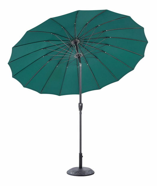 Slunečník Birma (zelená)