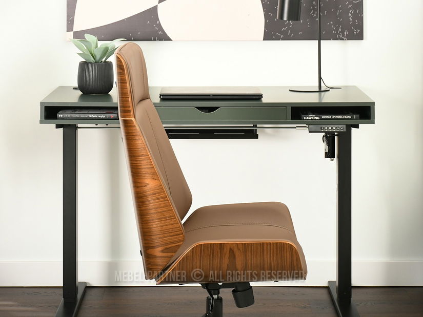 Židle Aukley (ořech + černá)