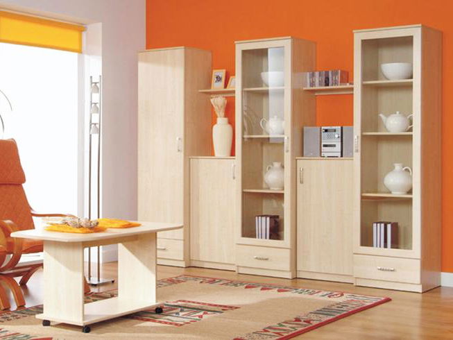 Policová skříň BRW TIP TOP TREG 1D1S (Javor)