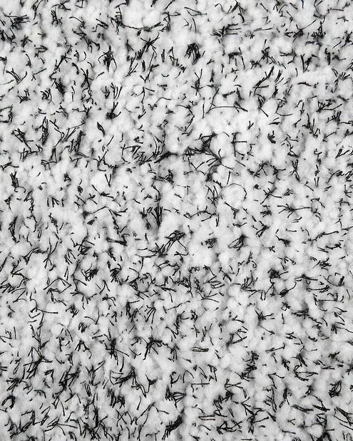 Koberec 200x140 cm Damte (světle šedá) (melírovaný)