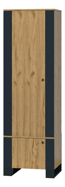 Regál Wayne (dub craft zlatý)