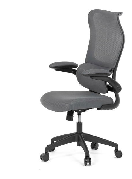 Kancelářské křeslo Clausura (šedá)