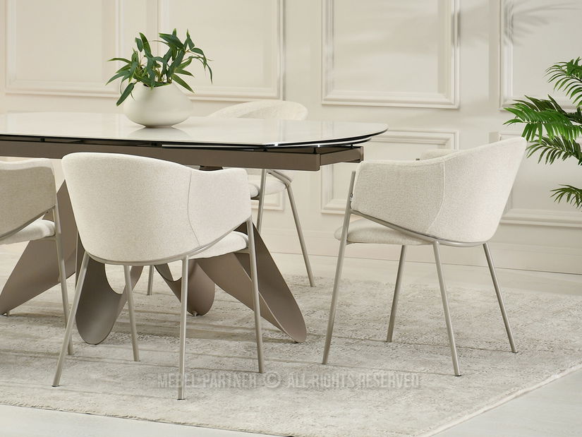 Jídelní židle Conquisto (krémová + šedá)