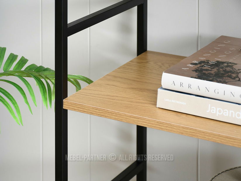 Regál Patinadora B (černá)