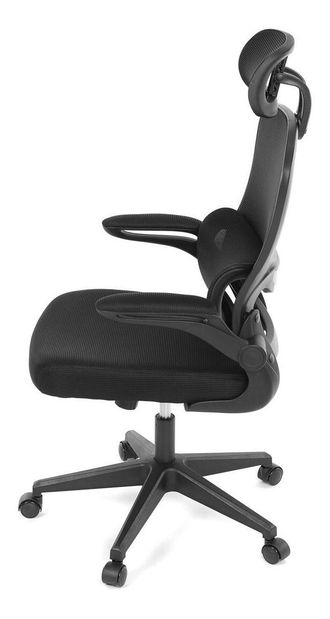 Kancelářské křeslo Polizones (černá)