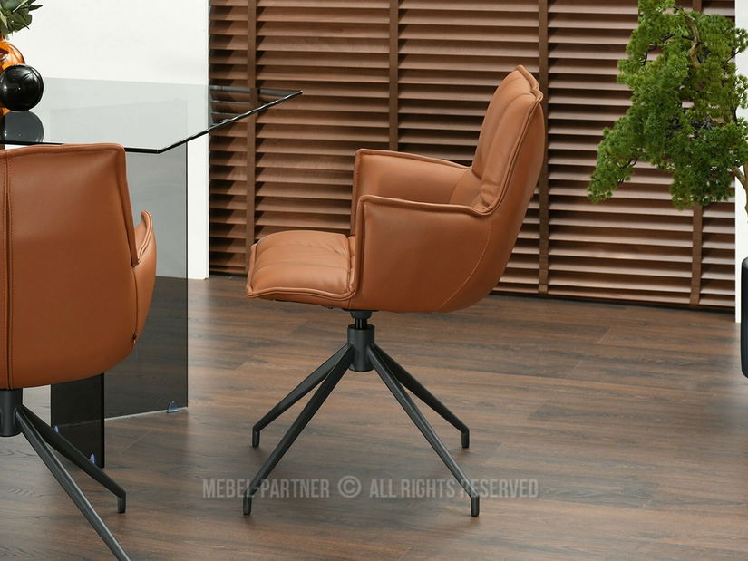 Jídelní židle Vacuno (hnědá + černá)