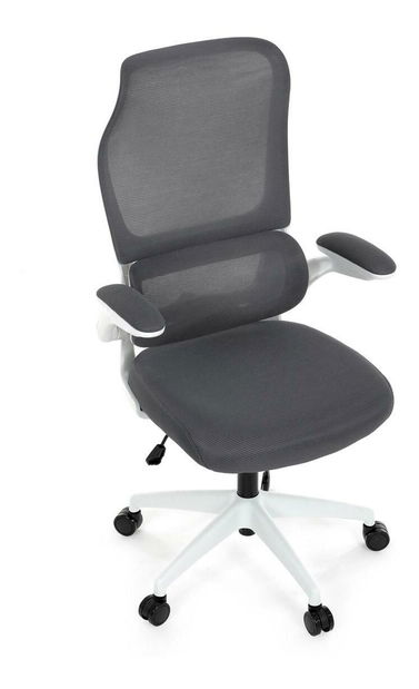 Kancelářské křeslo Inaugurados (šedá)