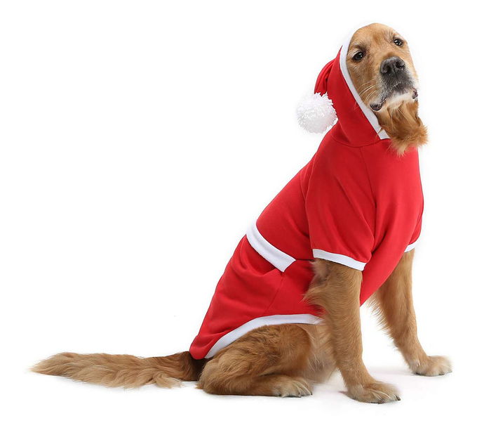 Bunda pro psa Chrissy (červená) (3XL)