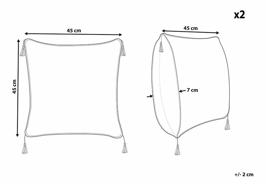 Sada 2 ozdobných polštářů 45 x 45 cm Schel (bílá)