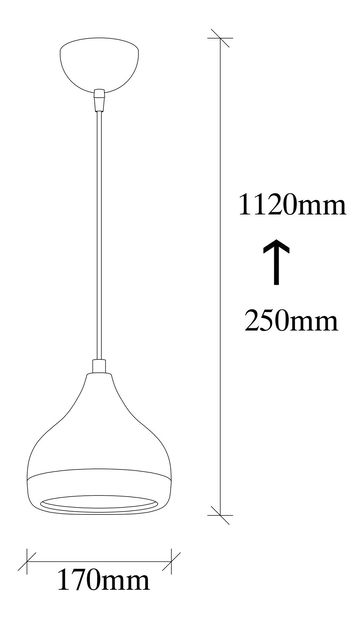 Stropní svítidlo Yia 6866