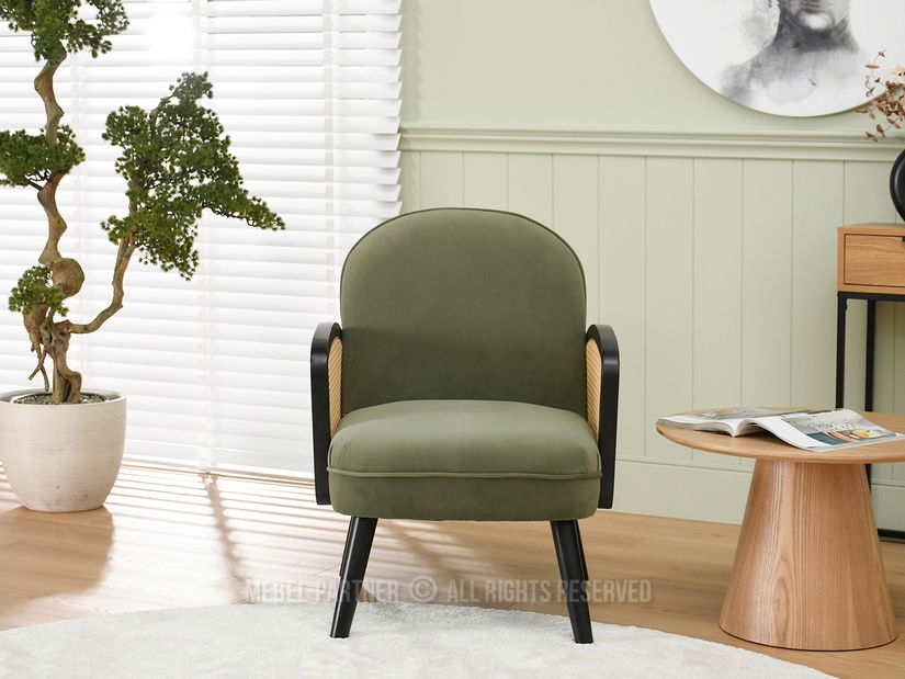 Křeslo Will (zelená + černá)