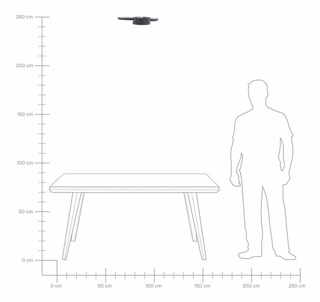 Stropní svítidlo Agnatt (černá)