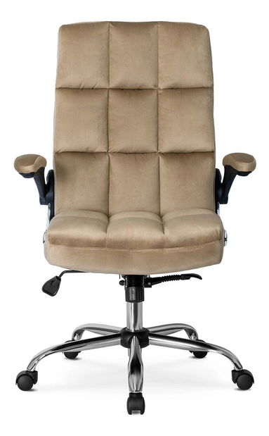 Kancelářské křeslo Limpieza (béžová)