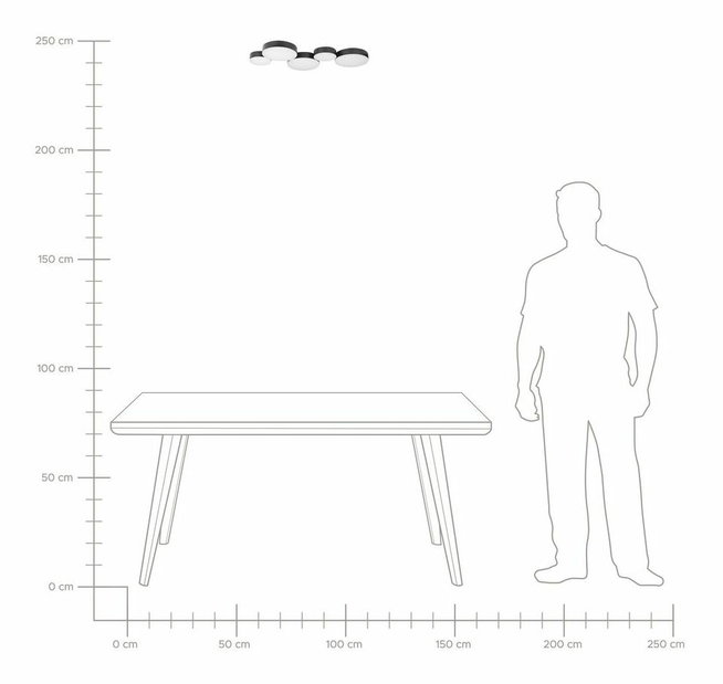 Stropní svítidlo Luga (černá)