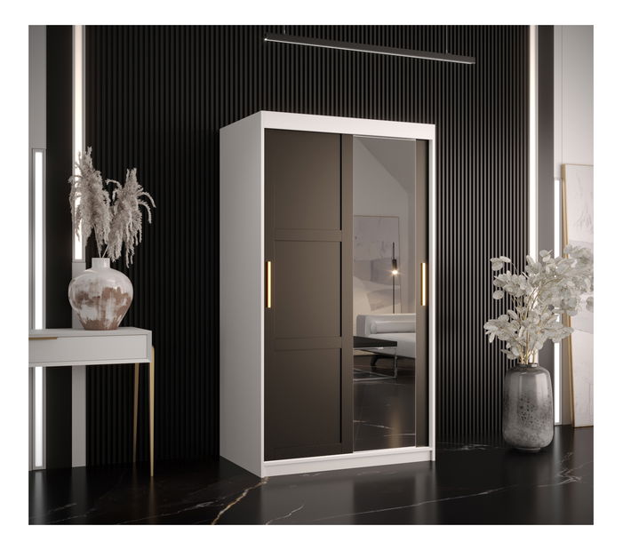 Šatní skříň Riven 2 100 (bílá matná + černá matná) (se zrcadlem)