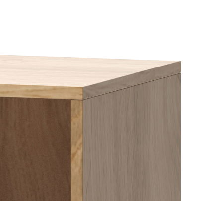 Regál Arte 10 (dub Wotan)