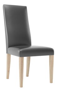 Jídelní židle Kelbu 101 (dub camargue + černá)
