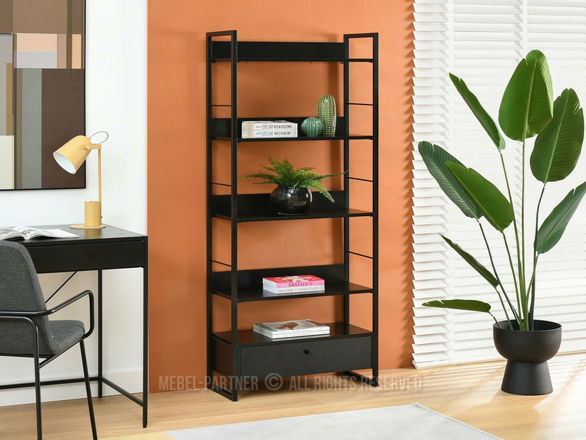 Regál Luca (černé dřevo + černá)