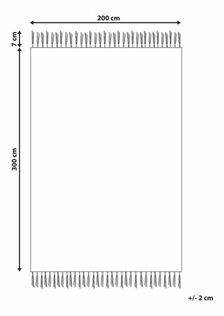 Koberec 200 x 300 cm Tarik (vícebarevný)