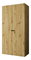 Šatní skříň 100 cm Parna 1 (dub artisan + černá)
