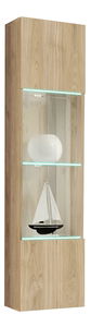 Nástěnná vitrína Ferryhill HJ FY 42 (dub jackson hickory) (s osvětlením)