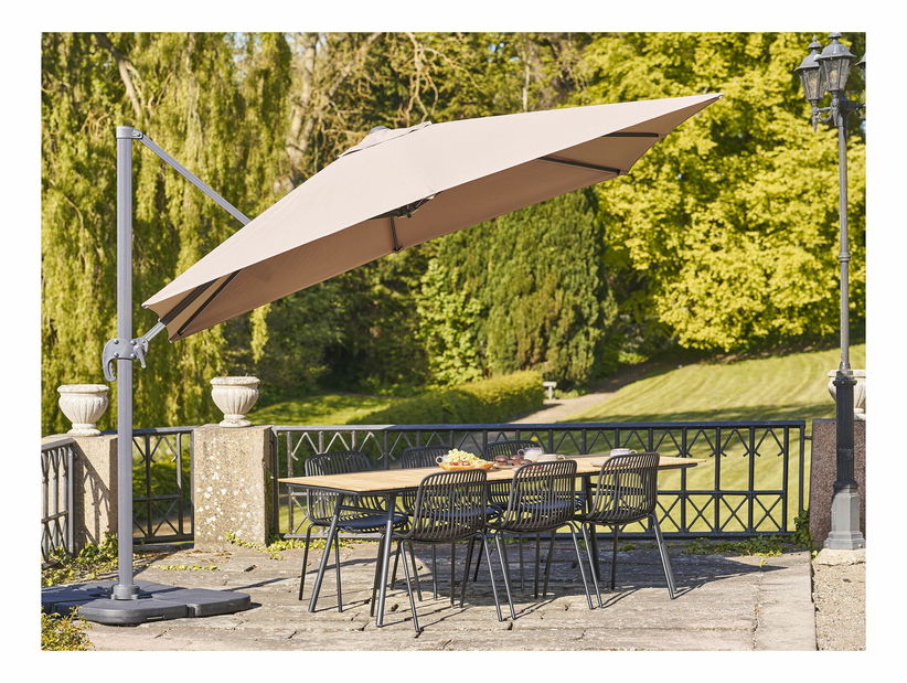 Slunečník Biveria (písková)