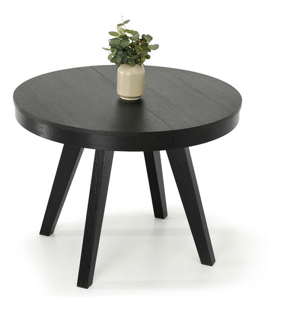 Jídelní stůl Trasladar (černá)