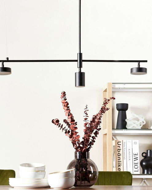 Závěsné svítidlo Fabienne (černá)