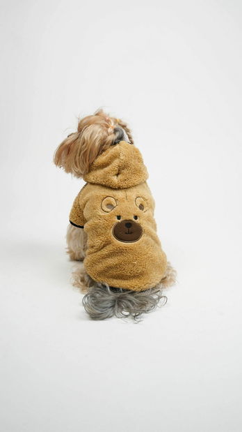 Bunda pro psa Tedi (modrá) 2