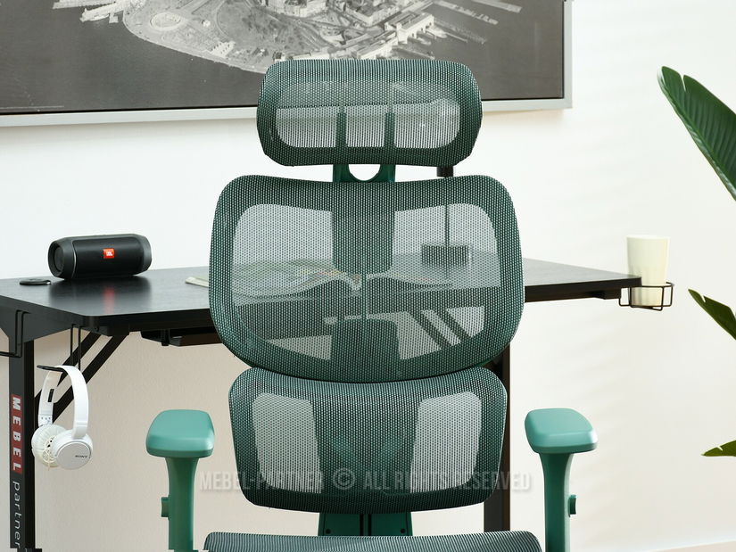 Židle Horst (zelená + zelená)