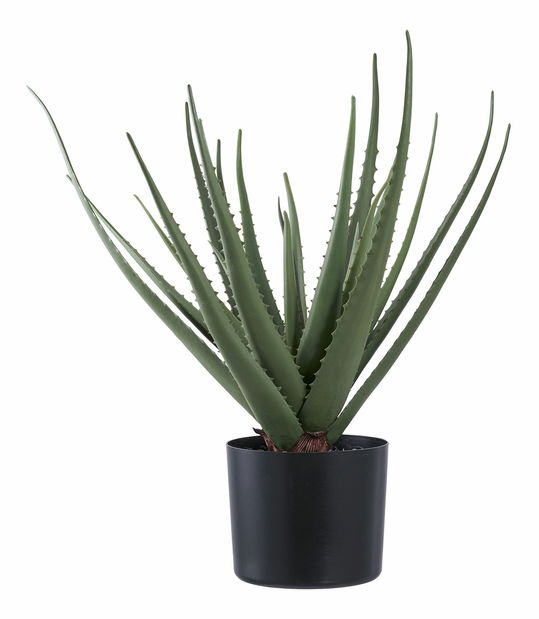 Umělá rostlina Aloe vera Ariaveta (zelená)