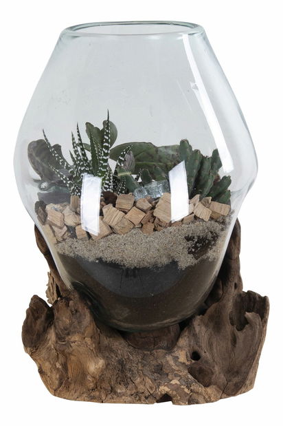 Dekorace Sorelia 2 (přírodní)