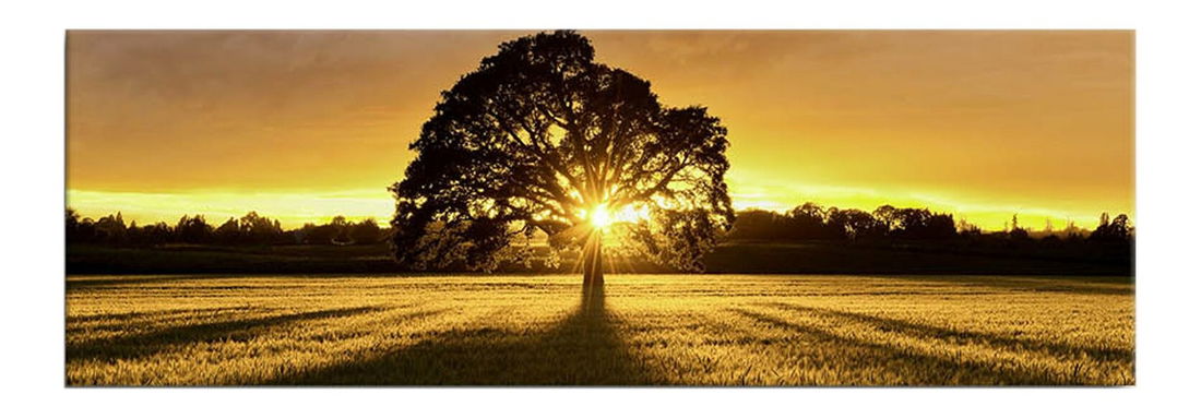 Obraz Aceh *výprodej