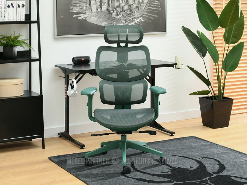 Židle Horst (zelená + zelená)