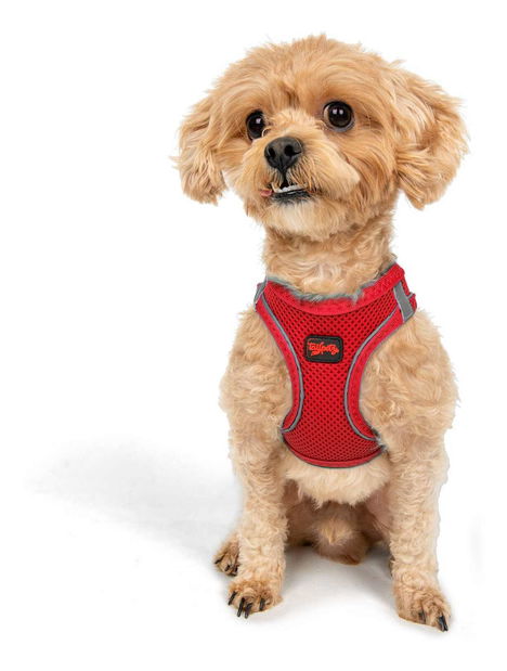 Postroj pro psa Airy (červená) (S)