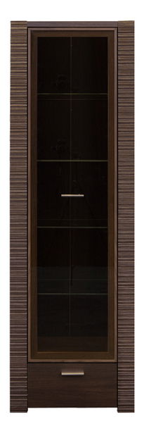 Vitrína BRW Raflo REG1W1S/19/6