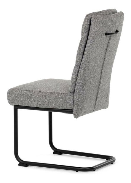 Jídelní židle Detener (stříbrná)