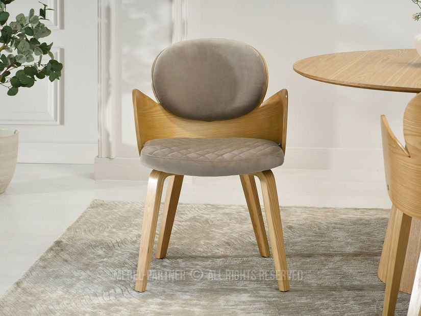 Jídelní židle Ahogar (béžová + dub)