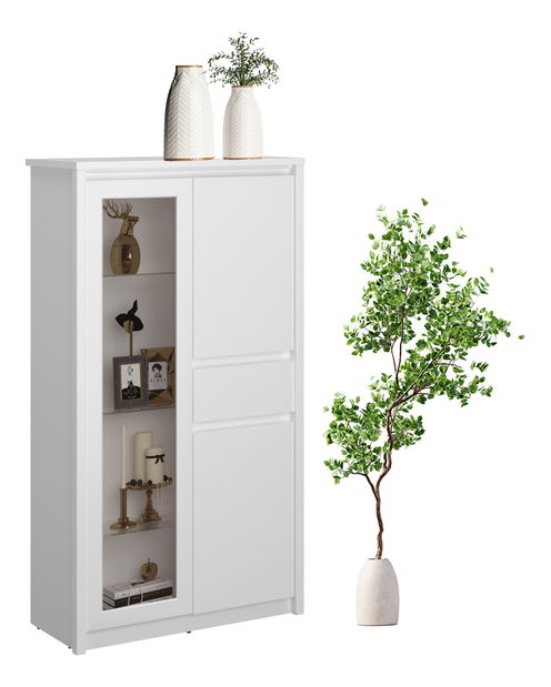 Vitrína Ethan 2D1W1S (bílá)