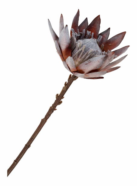 Kytice Koravina 2 (růžová)