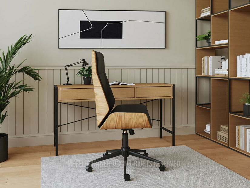 Kancelářské křeslo Astindes (černá)