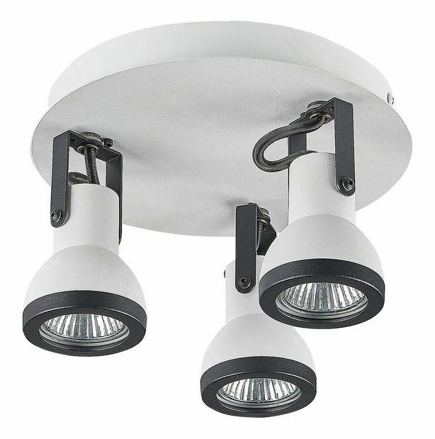 Stropní svítidlo Braulio (bílá)